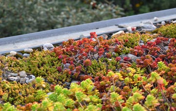 the cost of Hitcombe Bottom green roof installation