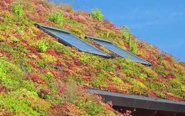 Hitcombe Bottom living roof systems