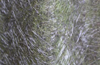 Hitcombe Bottom fibreglass roof work